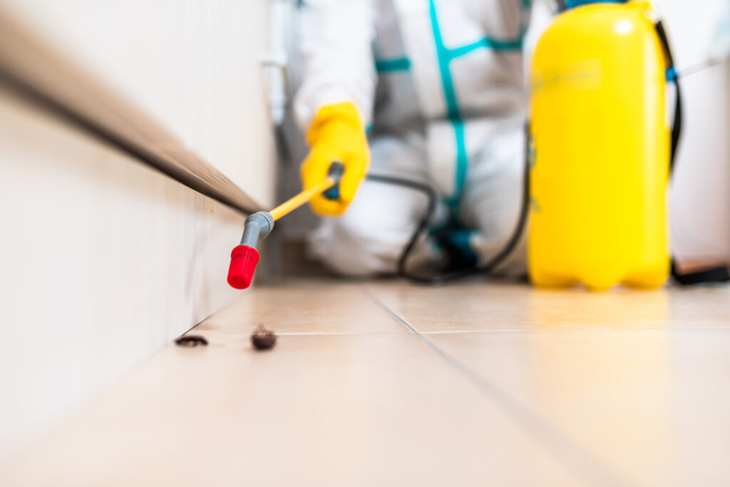 Denison Cockroach Experts
