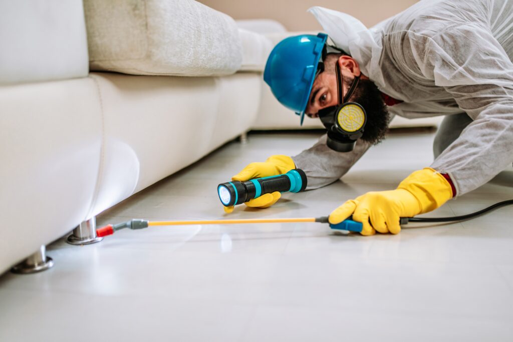 Denison Termite Control