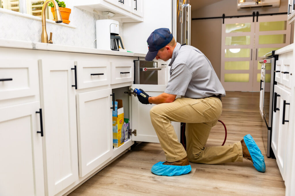 Denison xpert pest management